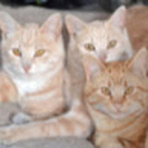 Meet your Posher, Jill